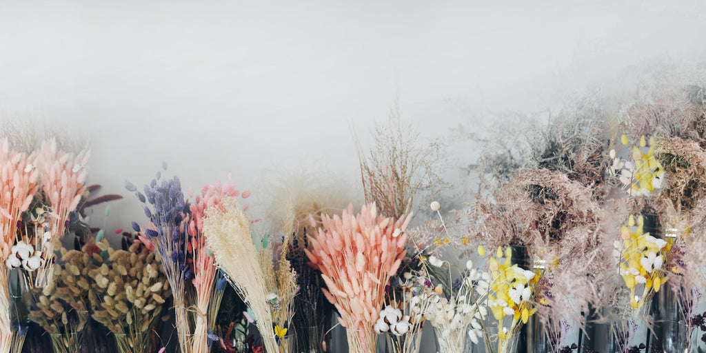 Choosing Between Dried Flowers & Fresh Flowers