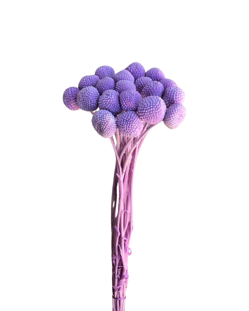 Preserved Flowers for All Events and Occasions