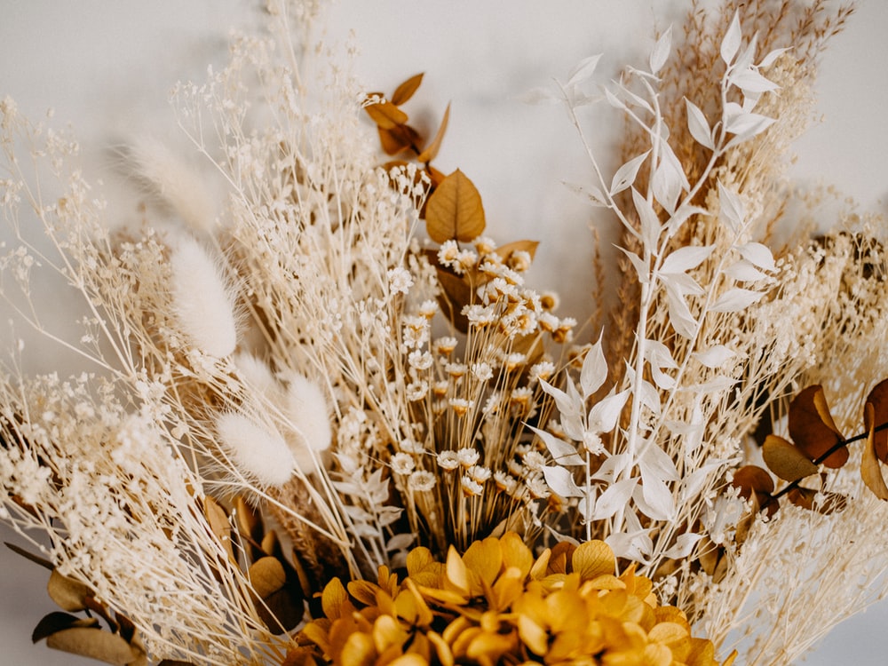 How Dried Flowers Beautify your Homes and Events?