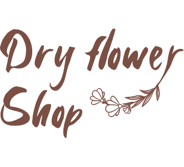 dryflowershop