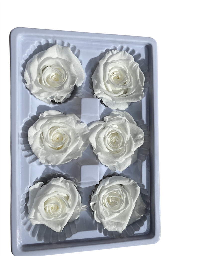 dry flowers online