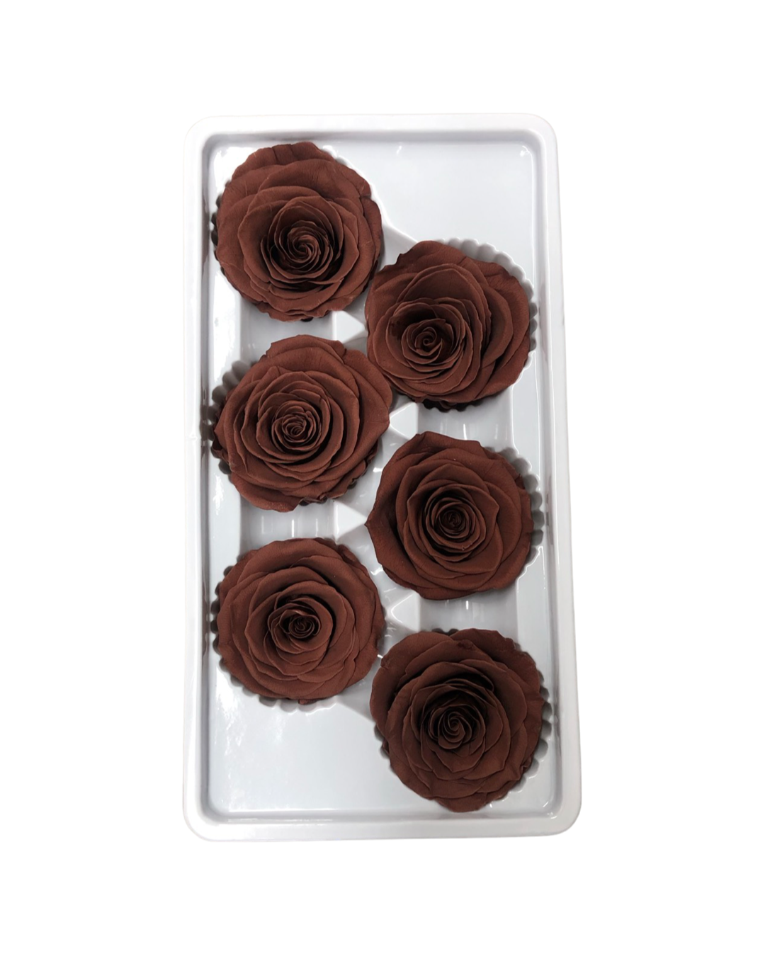 Luxury One Year Preserved Roses Red | Preserved Rose Heads UK | Dried Flowers Luxury One Year Preserved Roses Red | Preserved Rose Heads UK | Dried Flowers